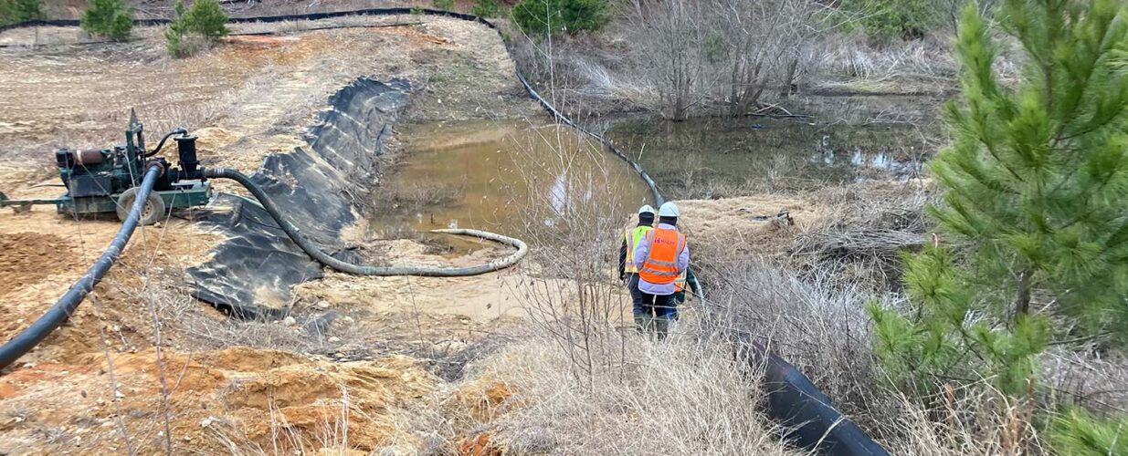 toad monitoring activities for Bastrop State Park restoration